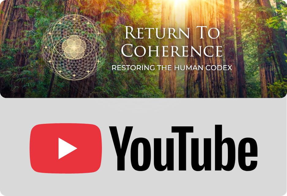 VIDEO CONTENT
